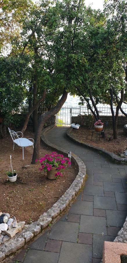 Apartment Palatisa Кожино Экстерьер фото